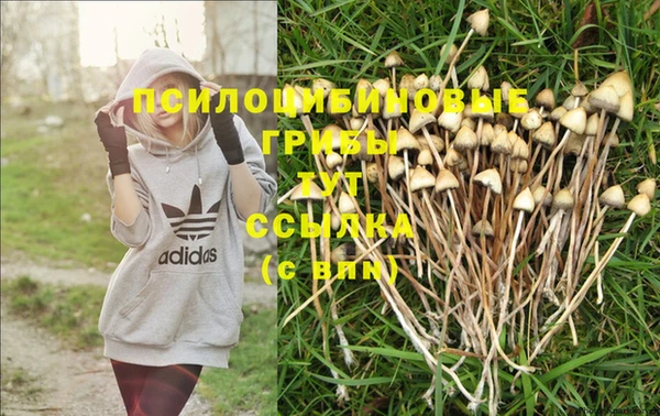 ешки Аркадак