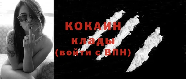 ешки Аркадак