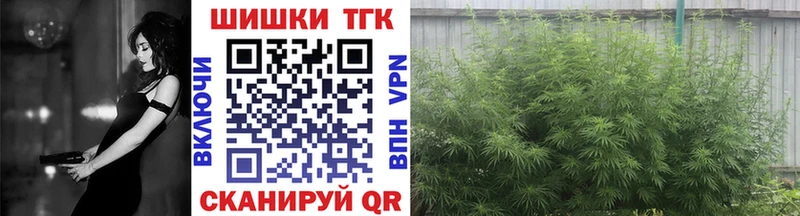 магазин    Сосновоборск  Канабис Amnesia 